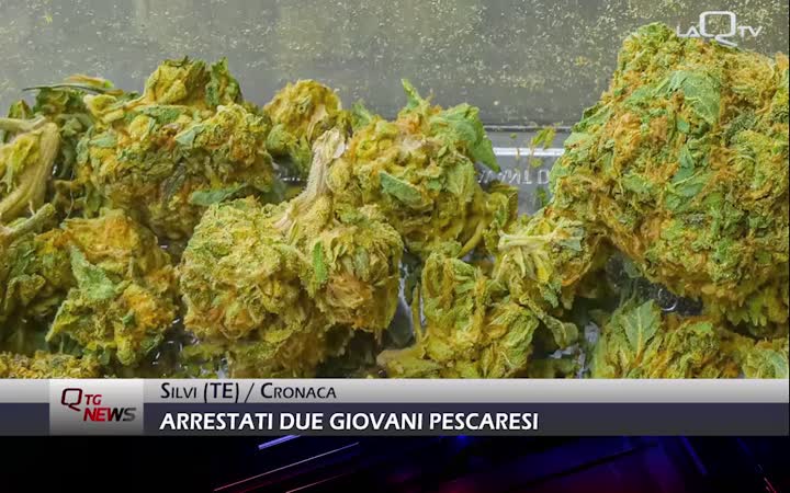 SILVI (TE): ARRESTATI DUE GIOVANI PESCARESI
