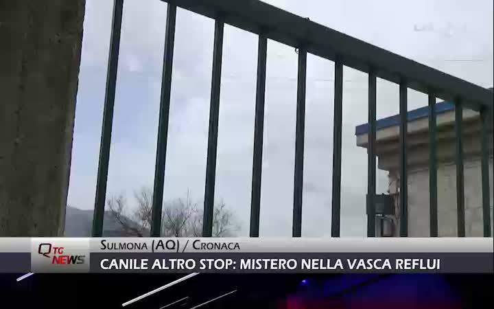 Canile, mistero nella vasca reflui. Sospesi i lavori di bonifica