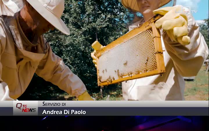 Castellalto, ADA: l'innovazione nell'apicoltura